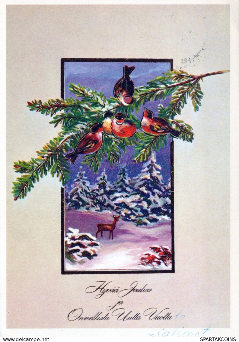 OISEAU Animaux Vintage Carte Postale CPSM #PAM787.FR - Birds