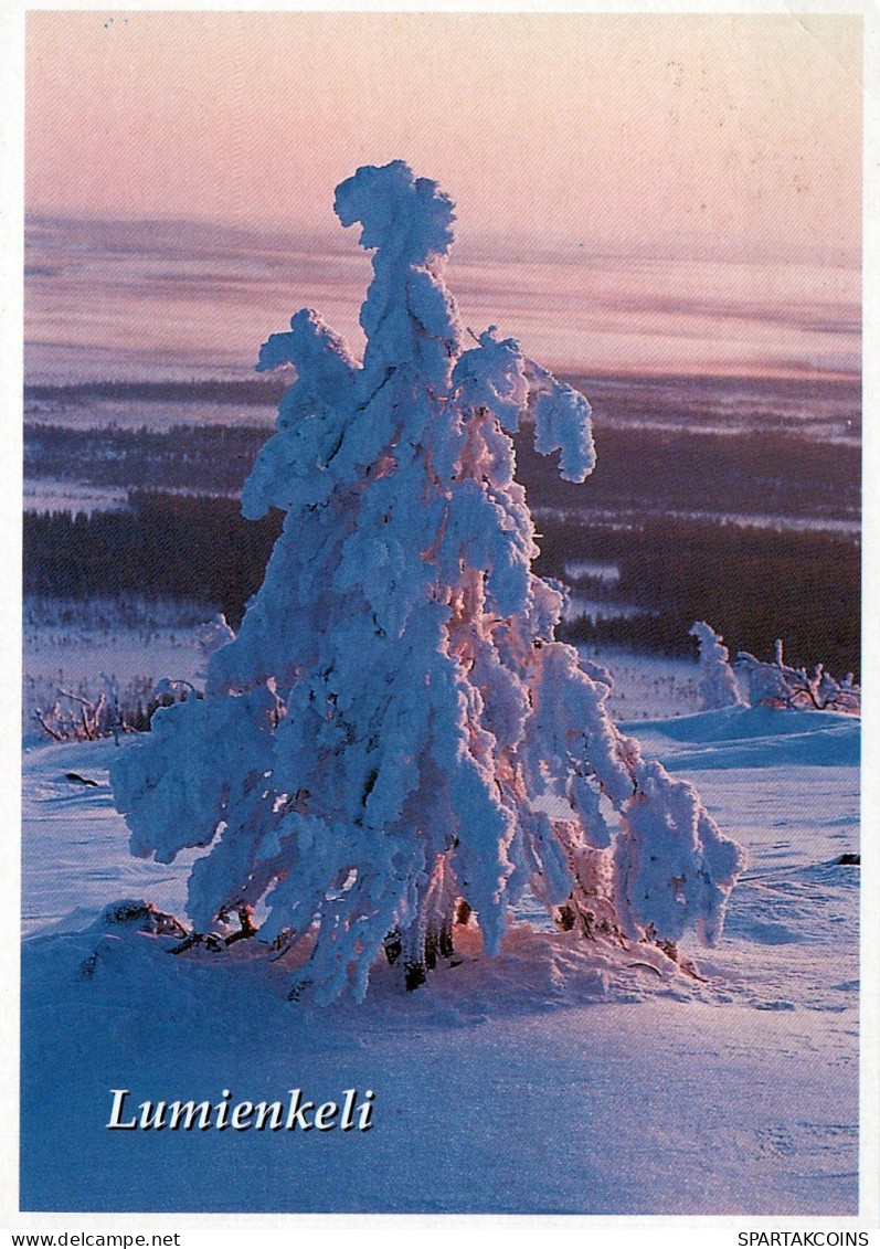 ANGE NOËL Vintage Carte Postale CPSM #PAJ377.FR - Anges