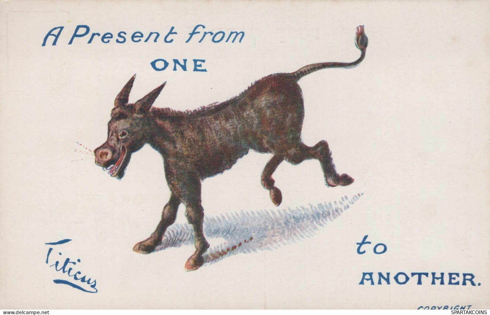 BURRO Animales Vintage Antiguo CPA Tarjeta Postal #PAA130.ES - Anes