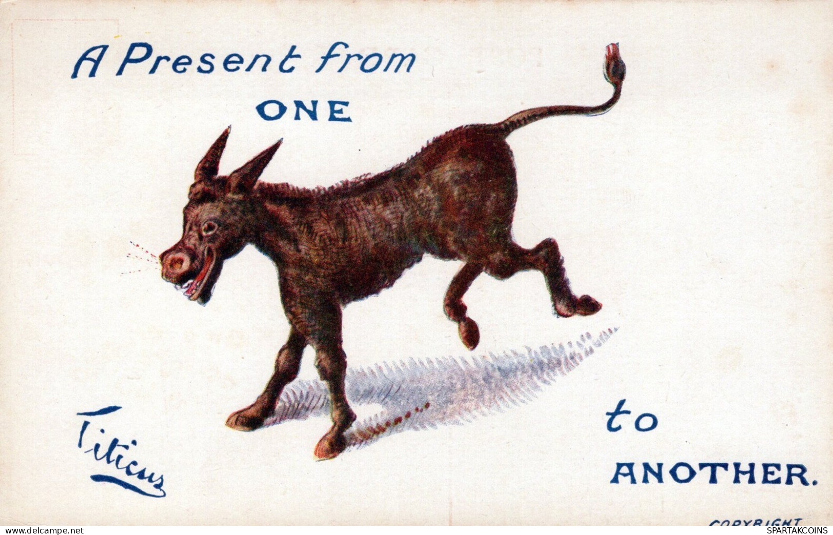 BURRO Animales Vintage Antiguo CPA Tarjeta Postal #PAA130.ES - Asino