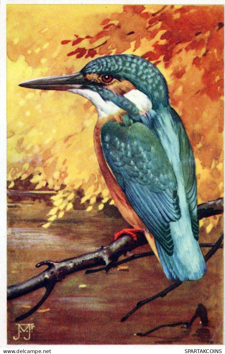 PÁJARO Vintage Tarjeta Postal CPSMPF #PKG960.ES - Vogels