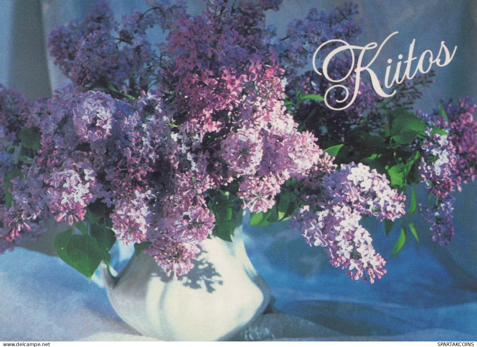 FLORES Vintage Tarjeta Postal CPSM #PBZ545.ES - Blumen