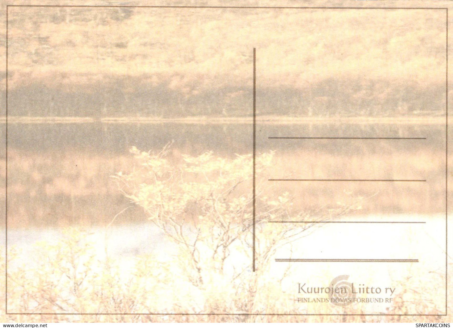 FLORES Vintage Tarjeta Postal CPSM #PBZ245.ES - Blumen