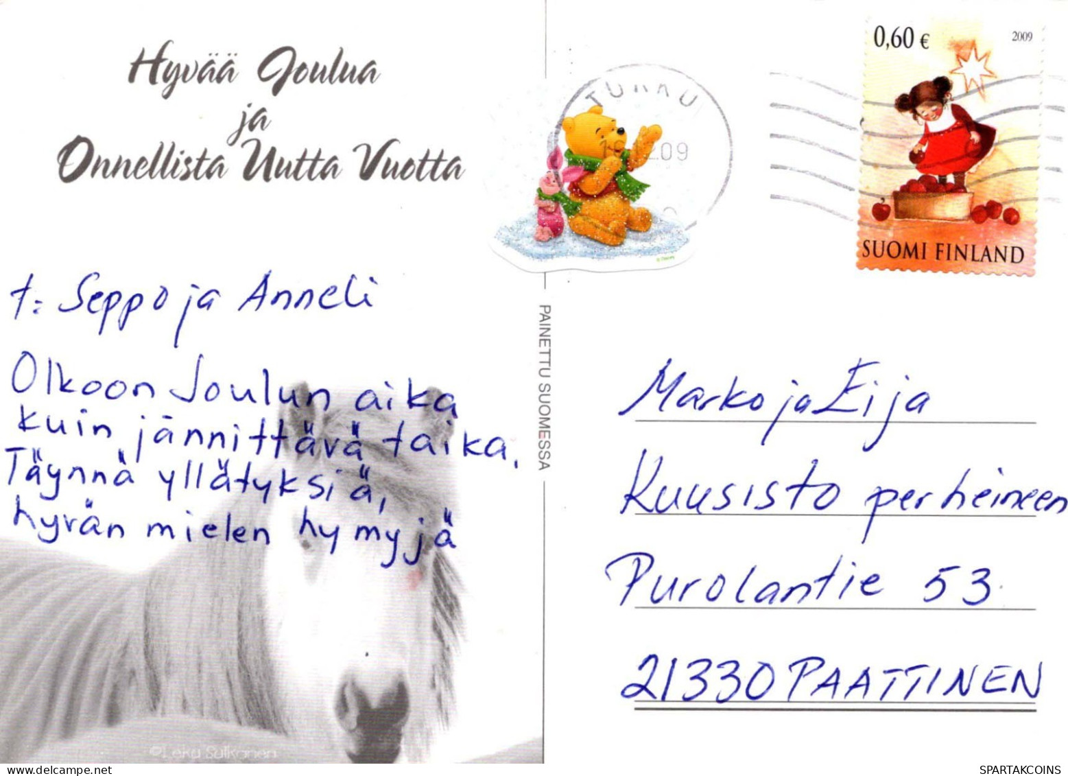 CABALLO Animales Vintage Tarjeta Postal CPSM #PBR935.ES - Caballos