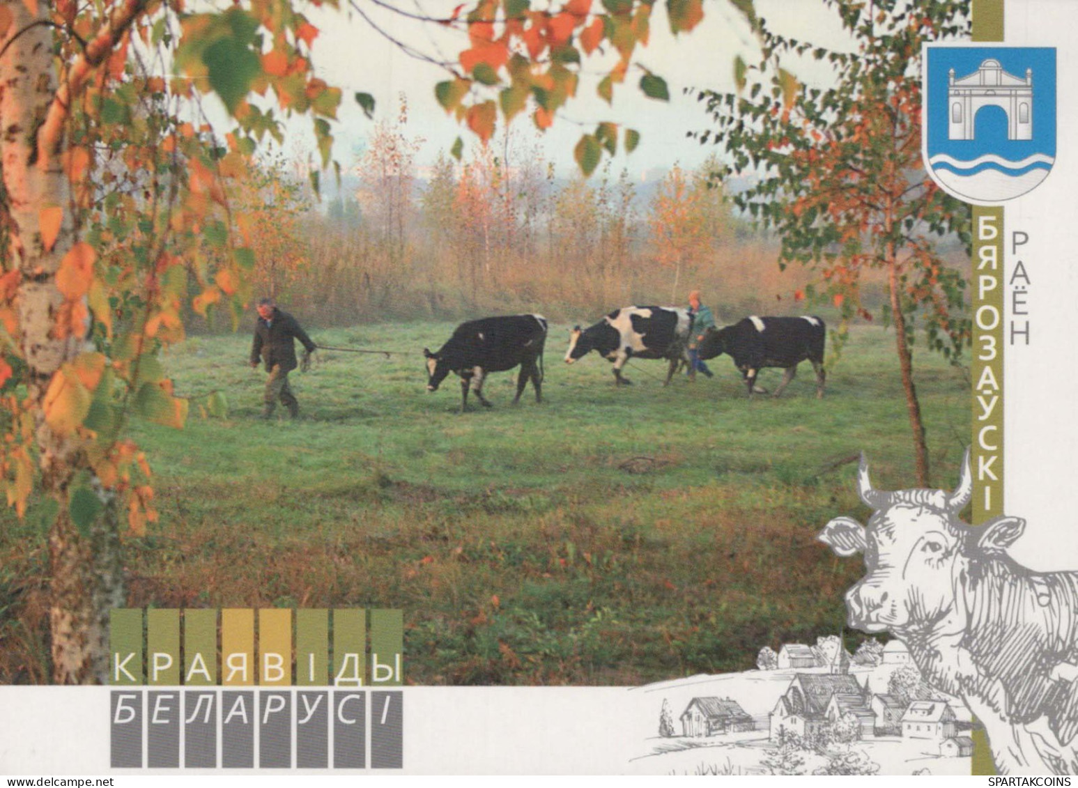VACA Animales Vintage Tarjeta Postal CPSM #PBR789.ES - Cows