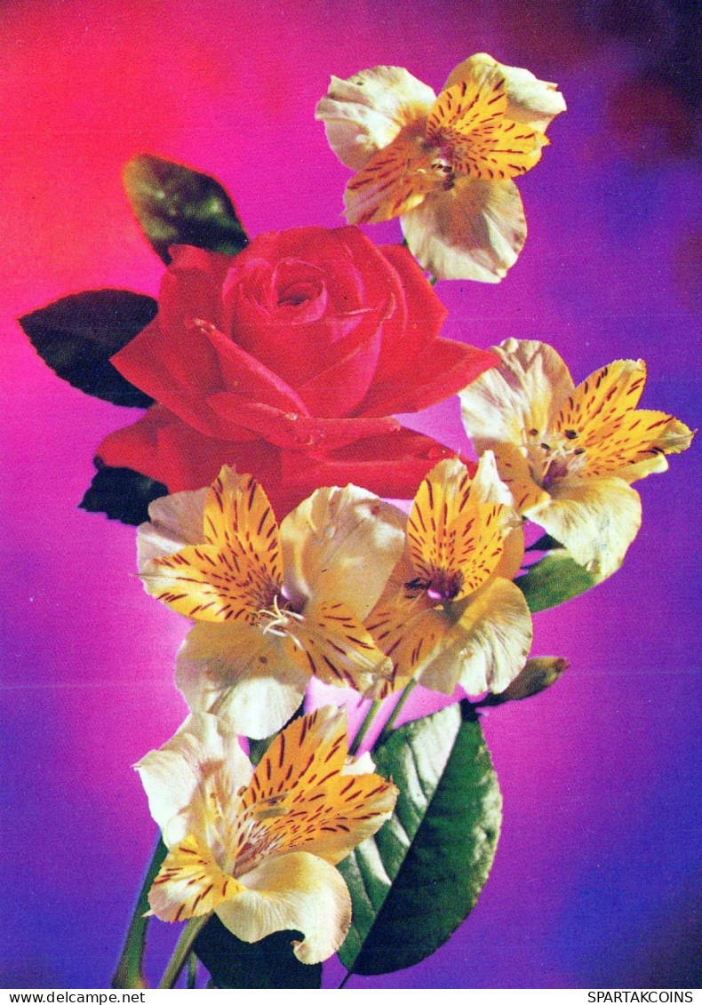 FLOWERS Vintage Ansichtskarte Postkarte CPSM #PAS202.DE - Blumen