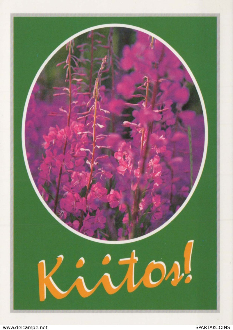 FLOWERS Vintage Ansichtskarte Postkarte CPSM #PAR541.DE - Blumen