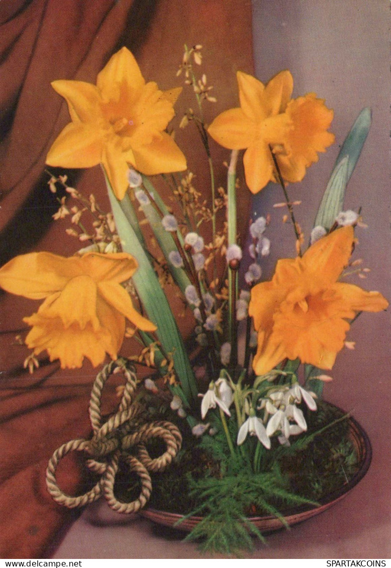 FLOWERS Vintage Ansichtskarte Postkarte CPSM #PAR059.DE - Fleurs