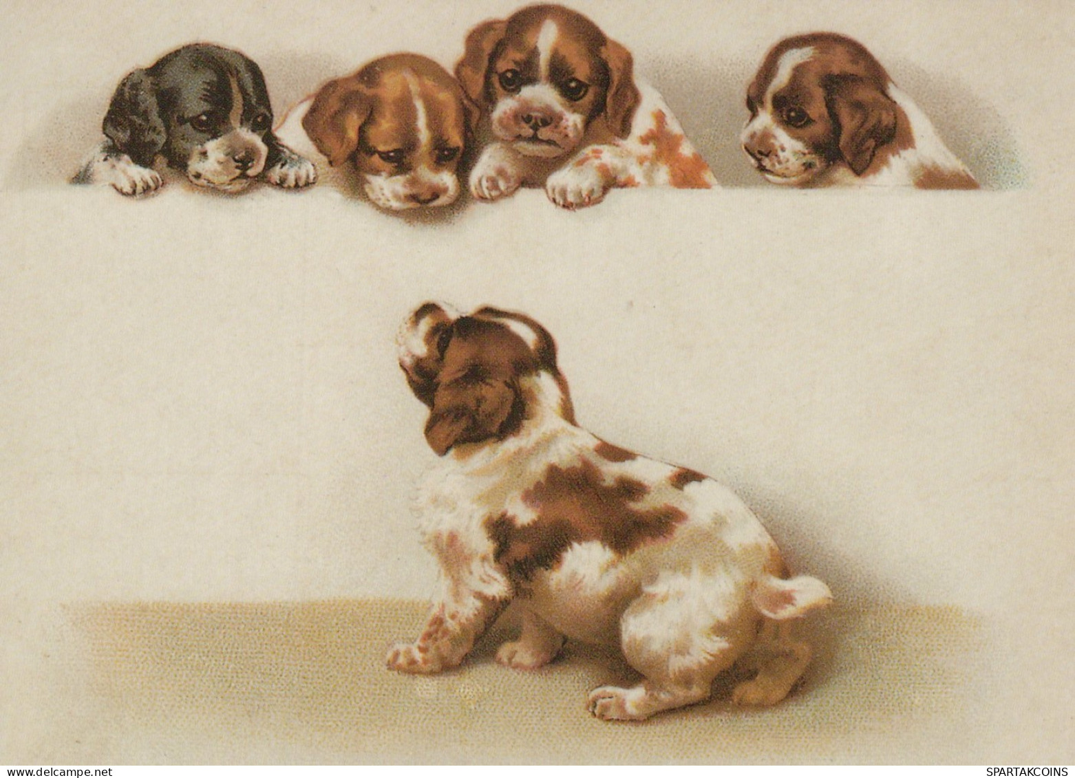 HUND Tier Vintage Ansichtskarte Postkarte CPSM #PAN537.DE - Chiens