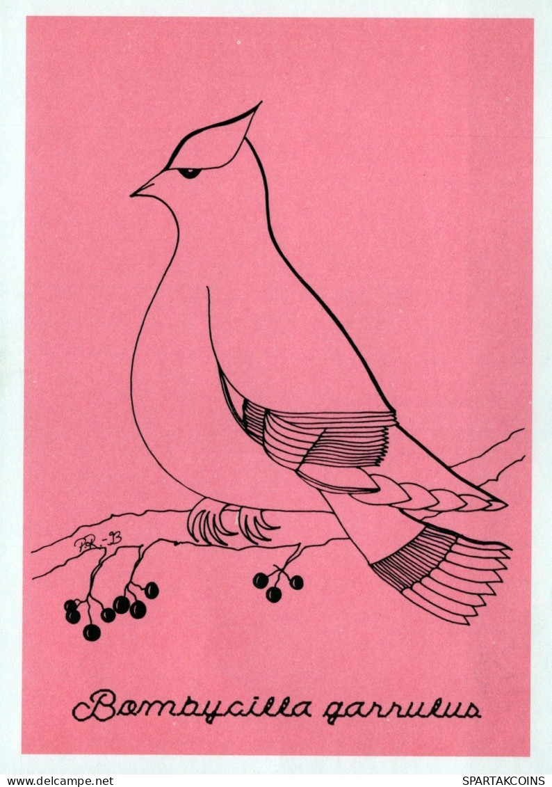 VOGEL Tier Vintage Ansichtskarte Postkarte CPSM #PAN161.DE - Vogels