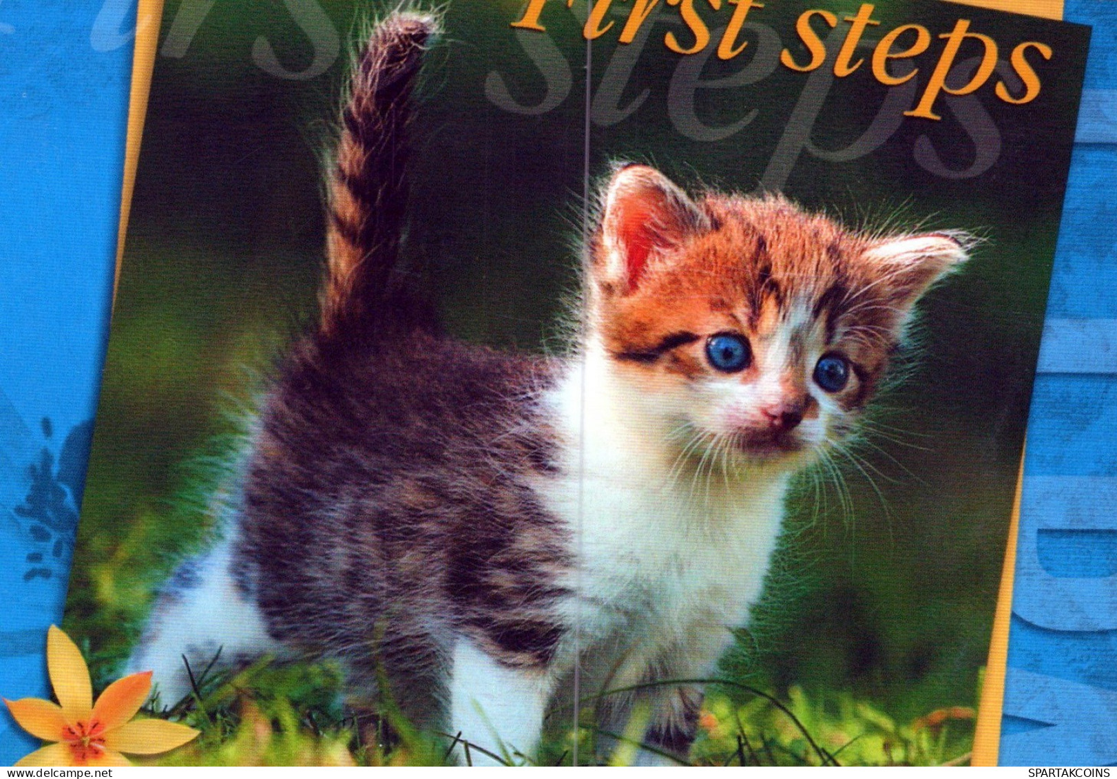 KATZE MIEZEKATZE Tier Vintage Ansichtskarte Postkarte CPSM #PAM410.DE - Katten