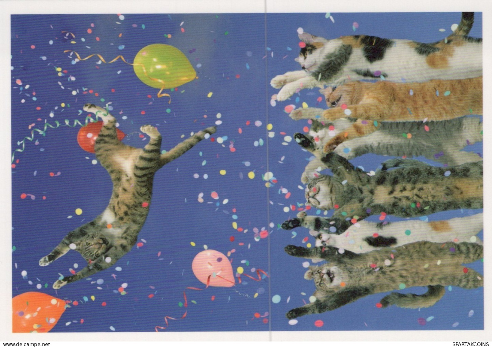 KATZE MIEZEKATZE Tier Vintage Ansichtskarte Postkarte CPSM #PAM348.DE - Katten
