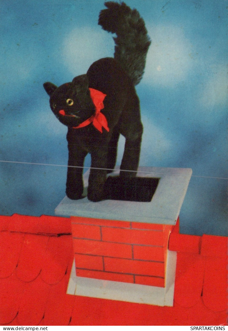 KATZE MIEZEKATZE Tier Vintage Ansichtskarte Postkarte CPSM #PAM223.DE - Katten