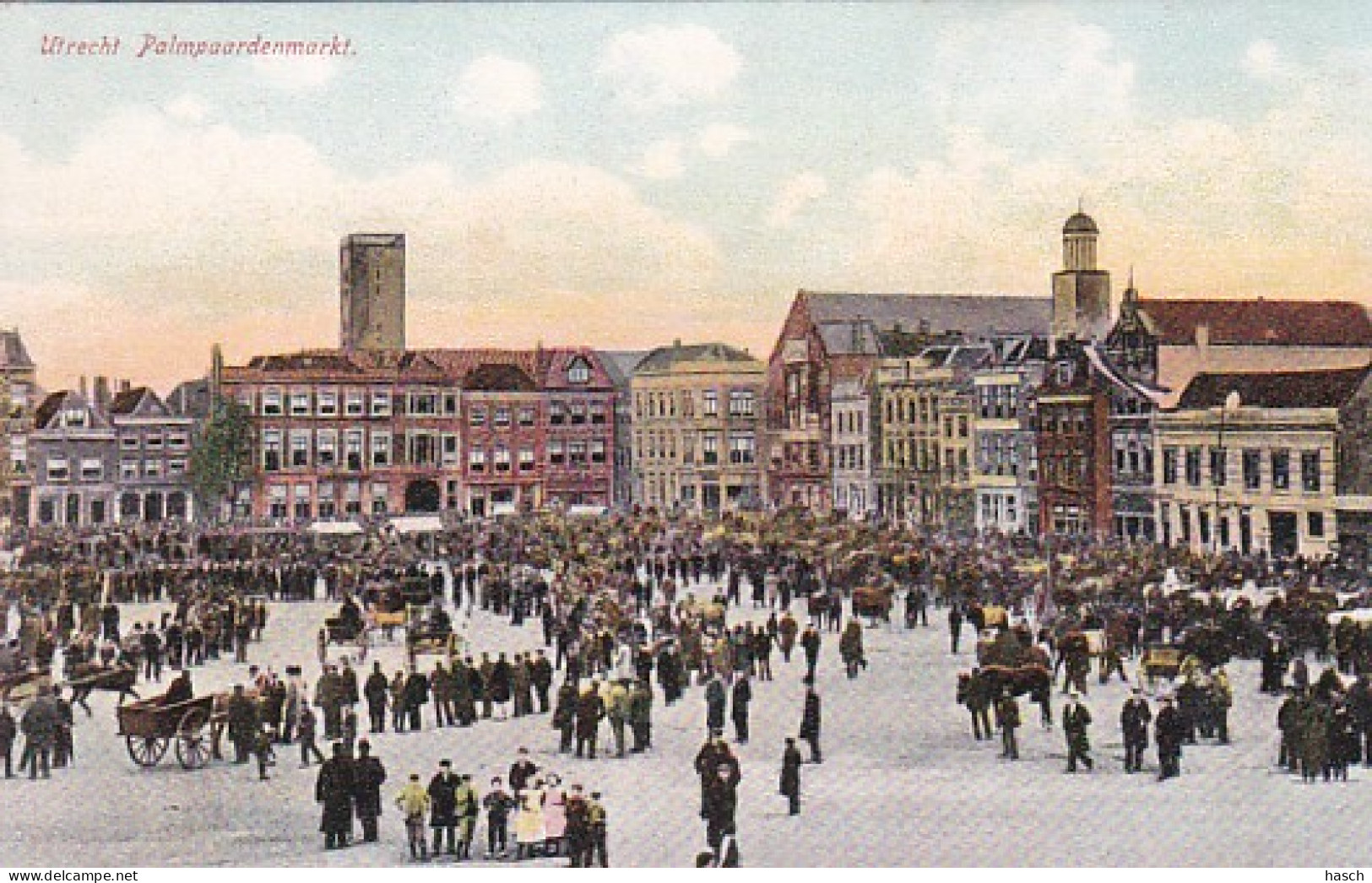 481878Utrecht. Palmpaardenmarkt. - Utrecht