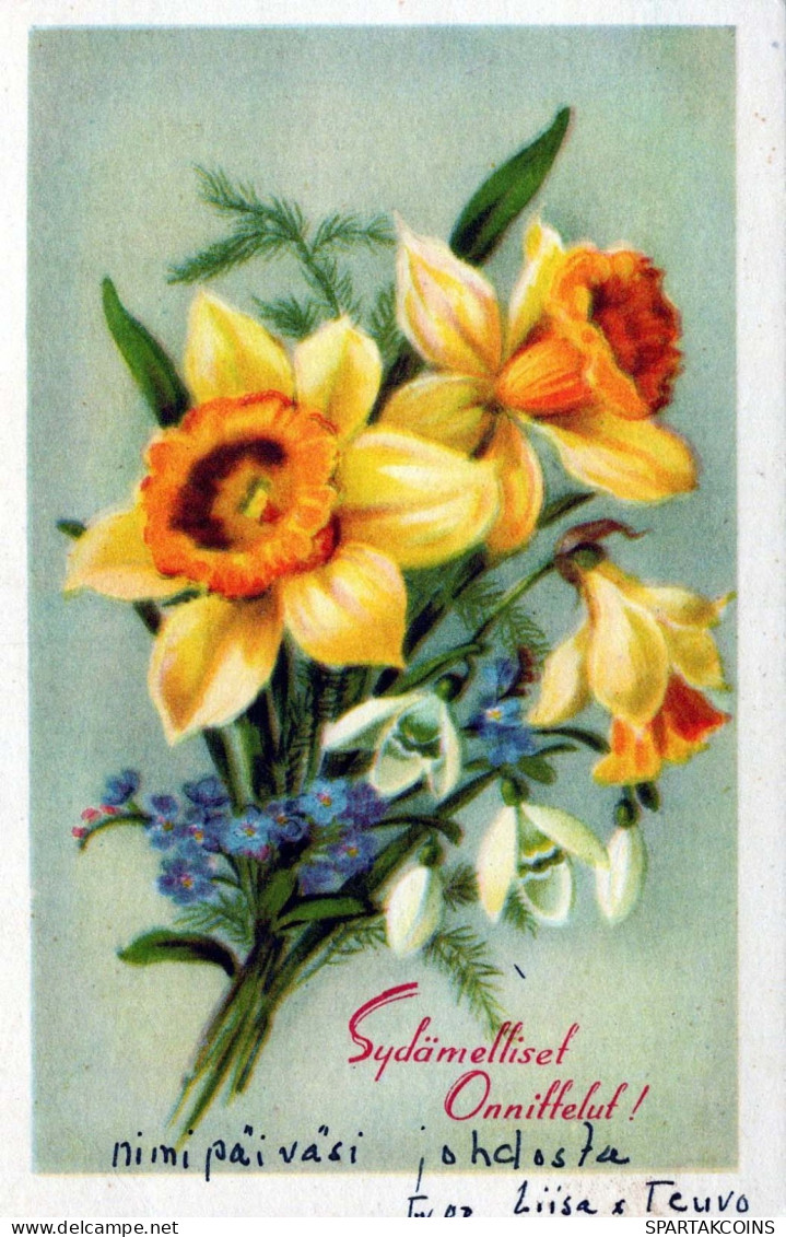 FLEURS Vintage Carte Postale CPA #PKE662.FR - Blumen