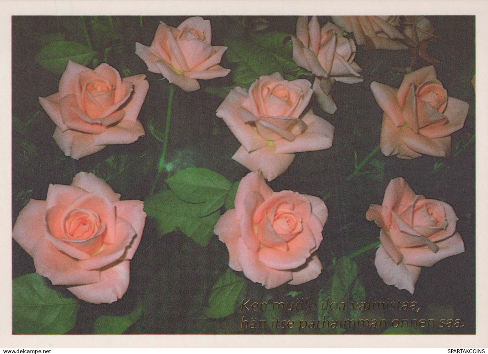 FLEURS Vintage Carte Postale CPSM #PBZ666.FR - Fleurs