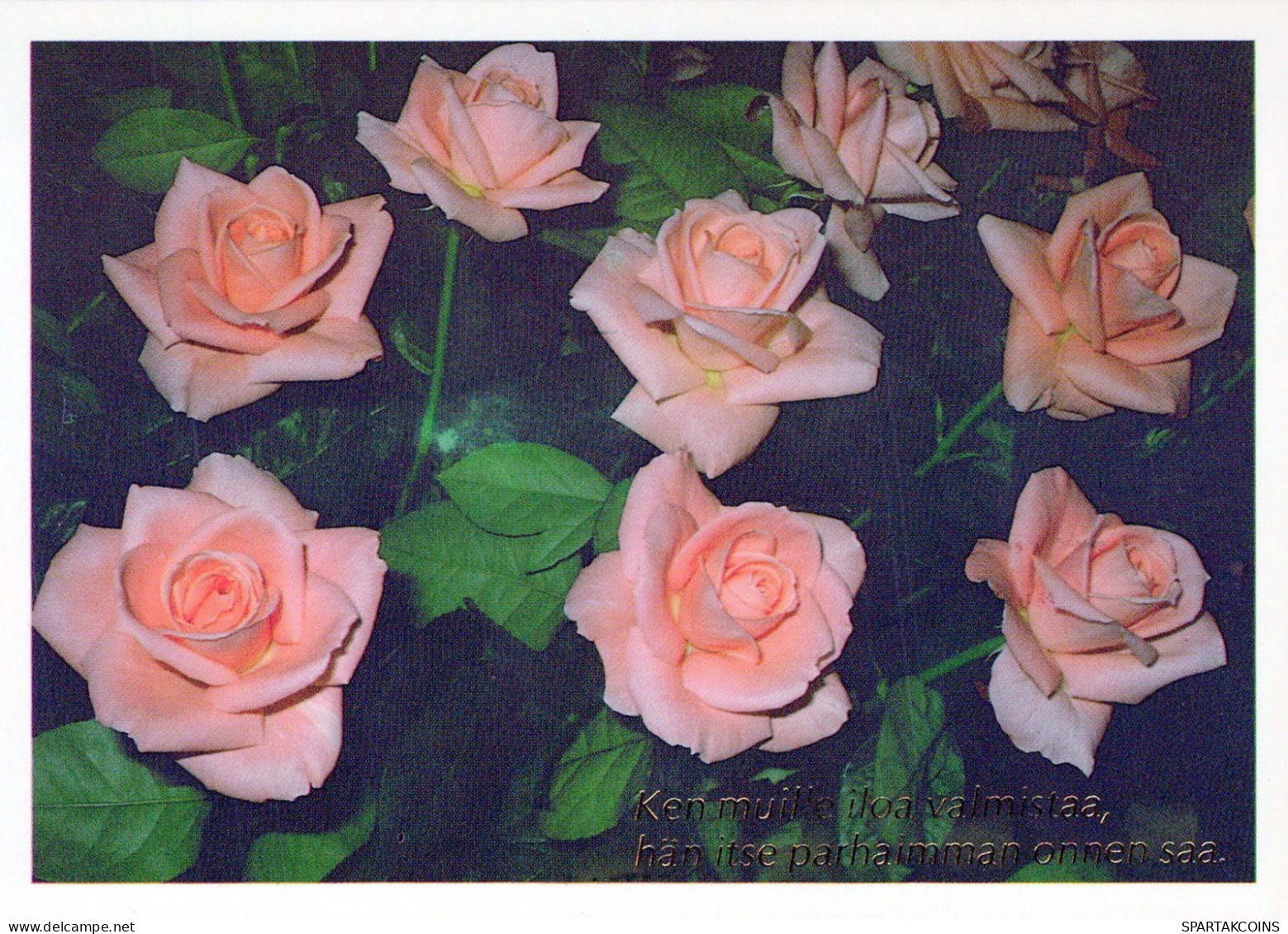 FLEURS Vintage Carte Postale CPSM #PBZ666.FR - Blumen