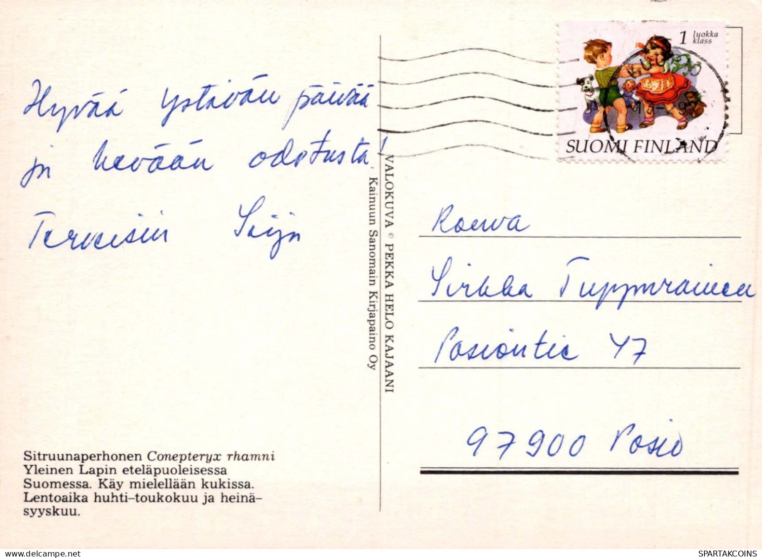PAPILLONS Animaux Vintage Carte Postale CPSM #PBS454.FR - Butterflies