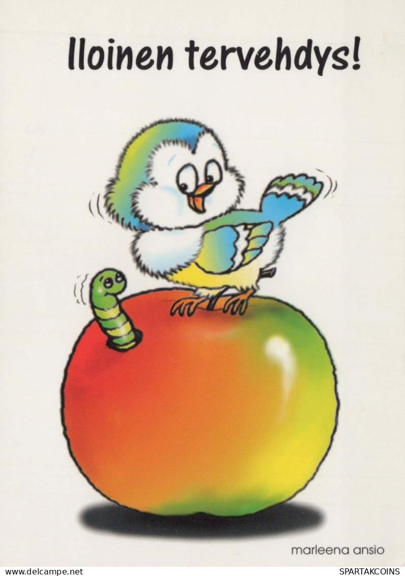 OISEAU Animaux Vintage Carte Postale CPSM #PBR413.FR - Oiseaux