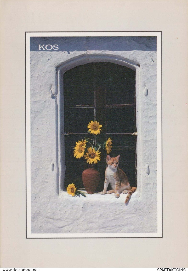 CHAT CHAT Animaux Vintage Carte Postale CPSM #PBQ945.FR - Chats