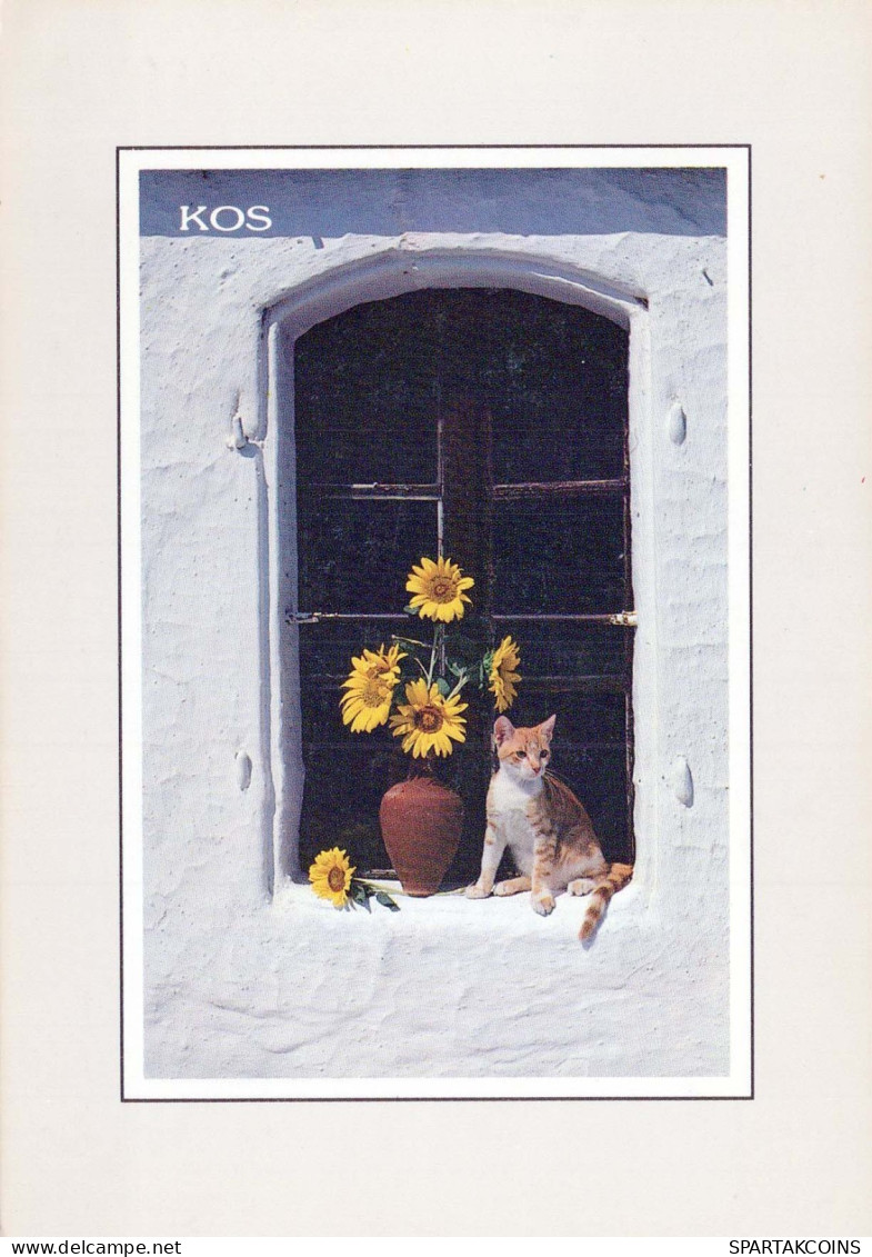 CHAT CHAT Animaux Vintage Carte Postale CPSM #PBQ945.FR - Chats