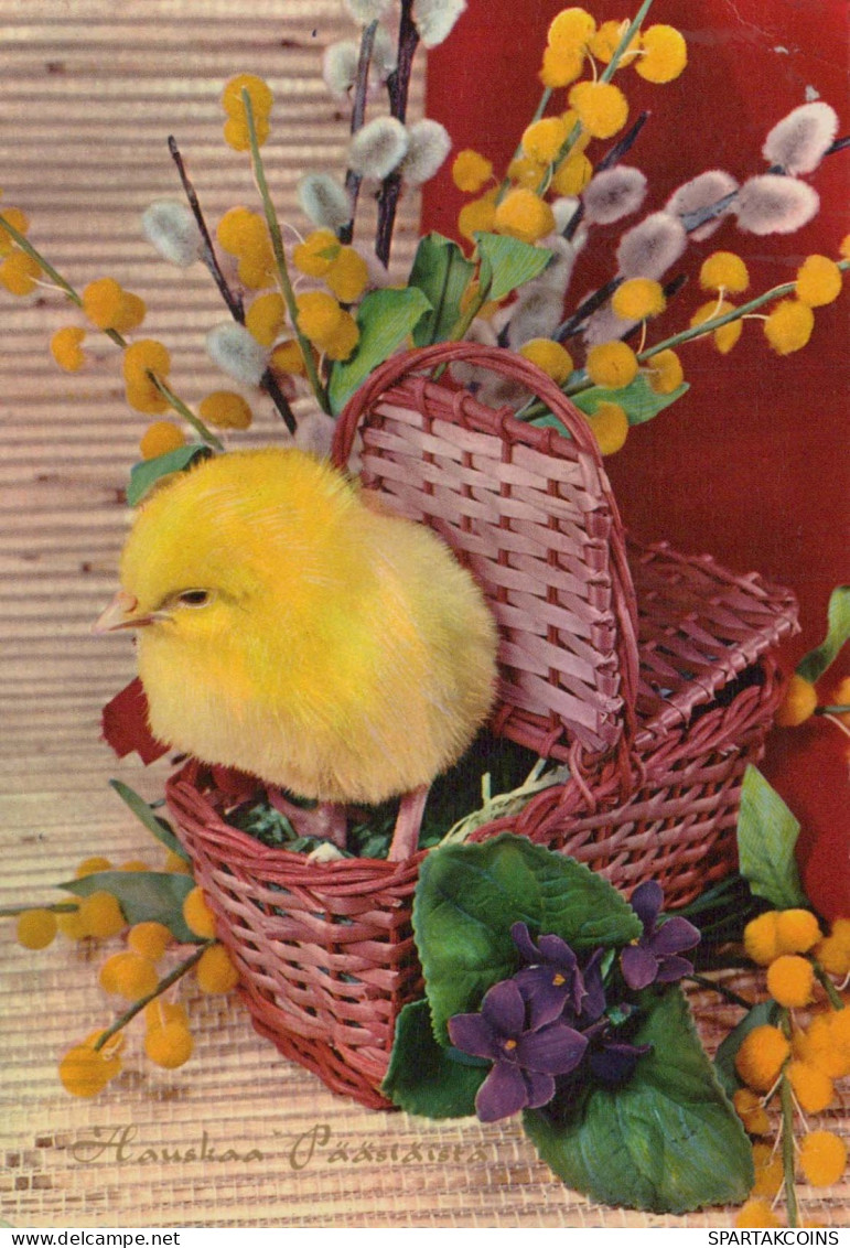 PÂQUES POULET ŒUF Vintage Carte Postale CPSM #PBP031.FR - Easter