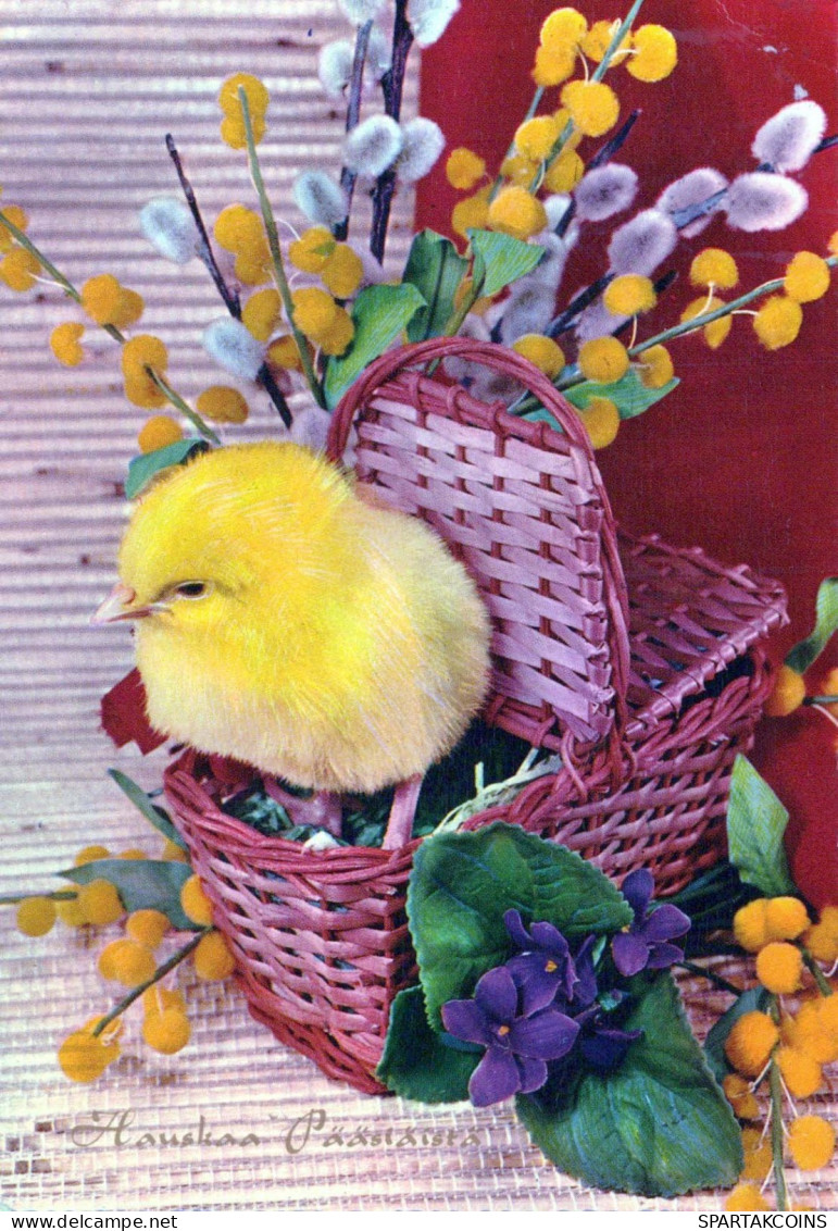 PÂQUES POULET ŒUF Vintage Carte Postale CPSM #PBP031.FR - Easter