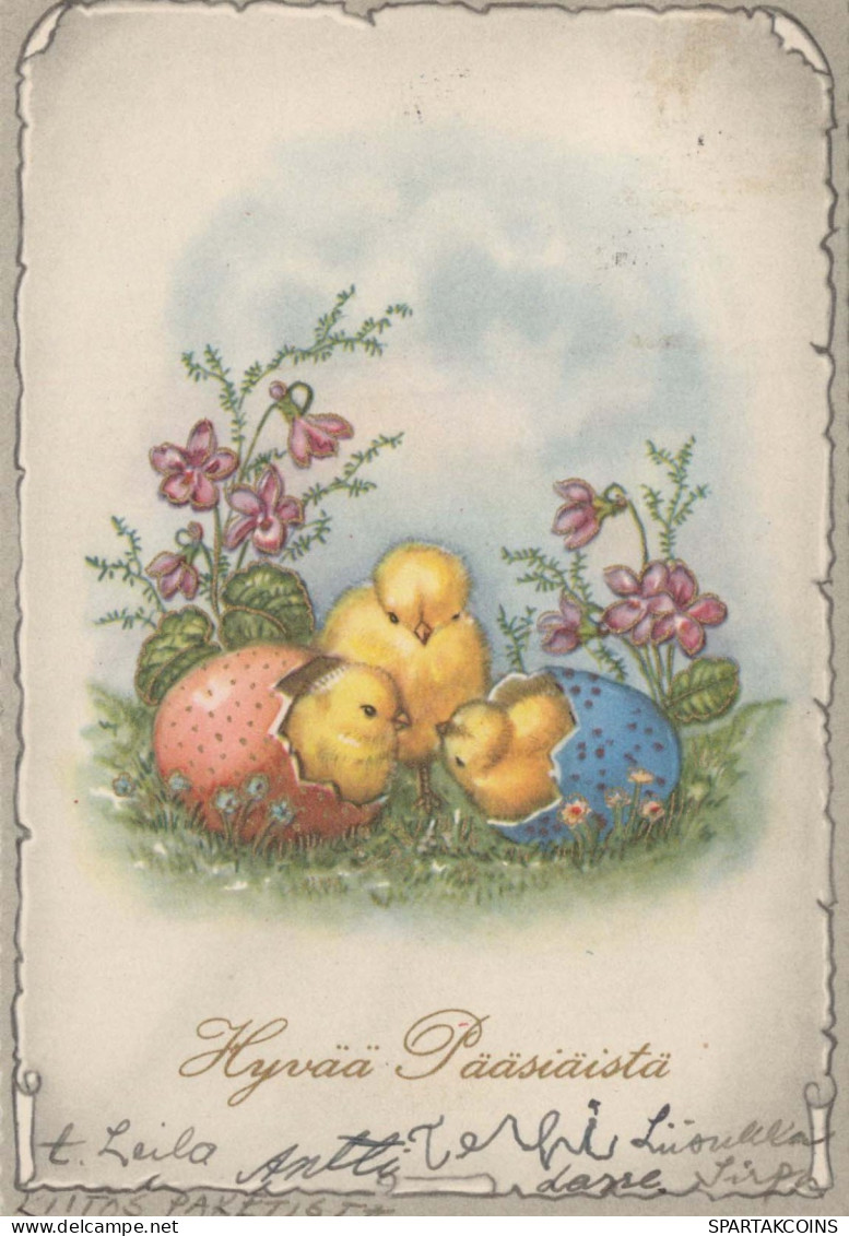 PÂQUES POULET ŒUF Vintage Carte Postale CPSM #PBO590.FR - Easter