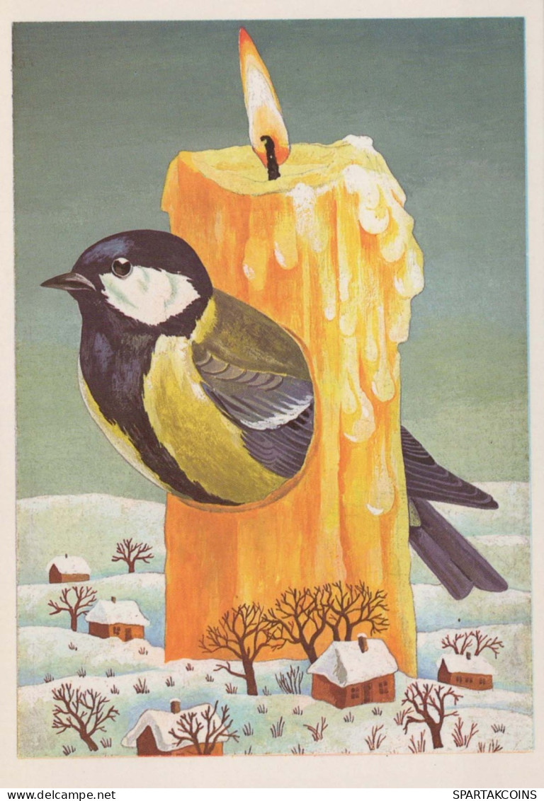 Bonne Année Noël OISEAU Vintage Carte Postale CPSM #PBM644.FR - Año Nuevo