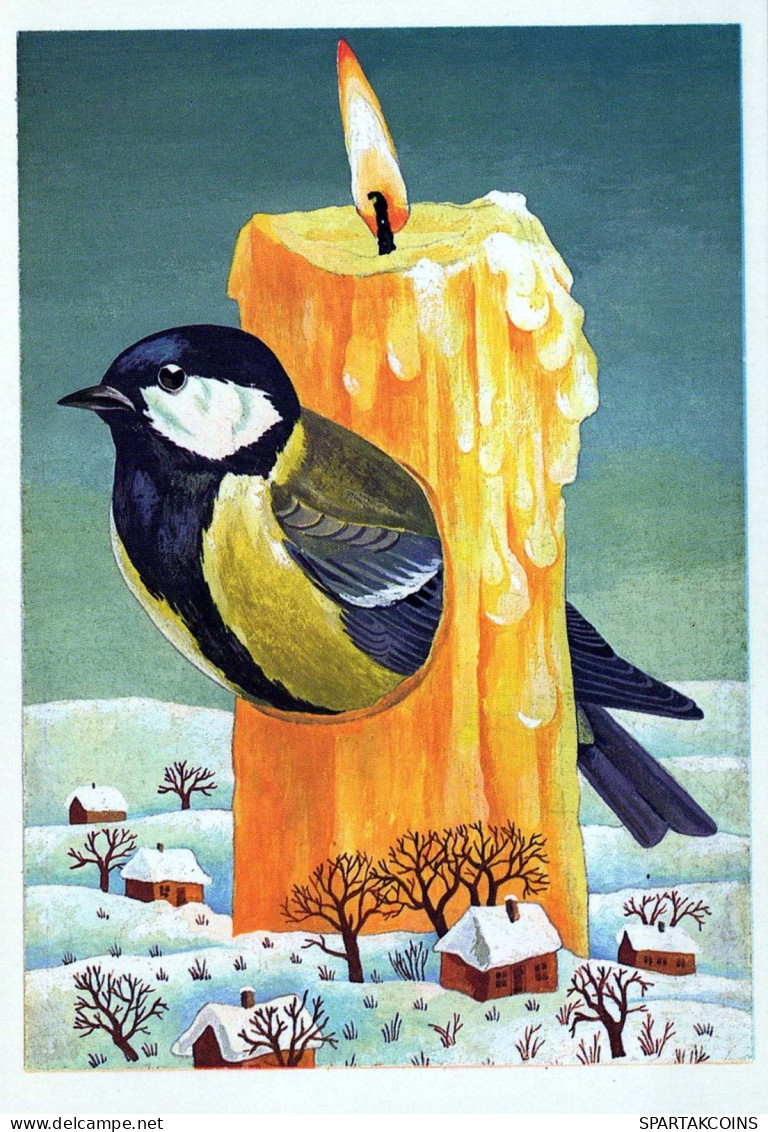 Bonne Année Noël OISEAU Vintage Carte Postale CPSM #PBM644.FR - Año Nuevo