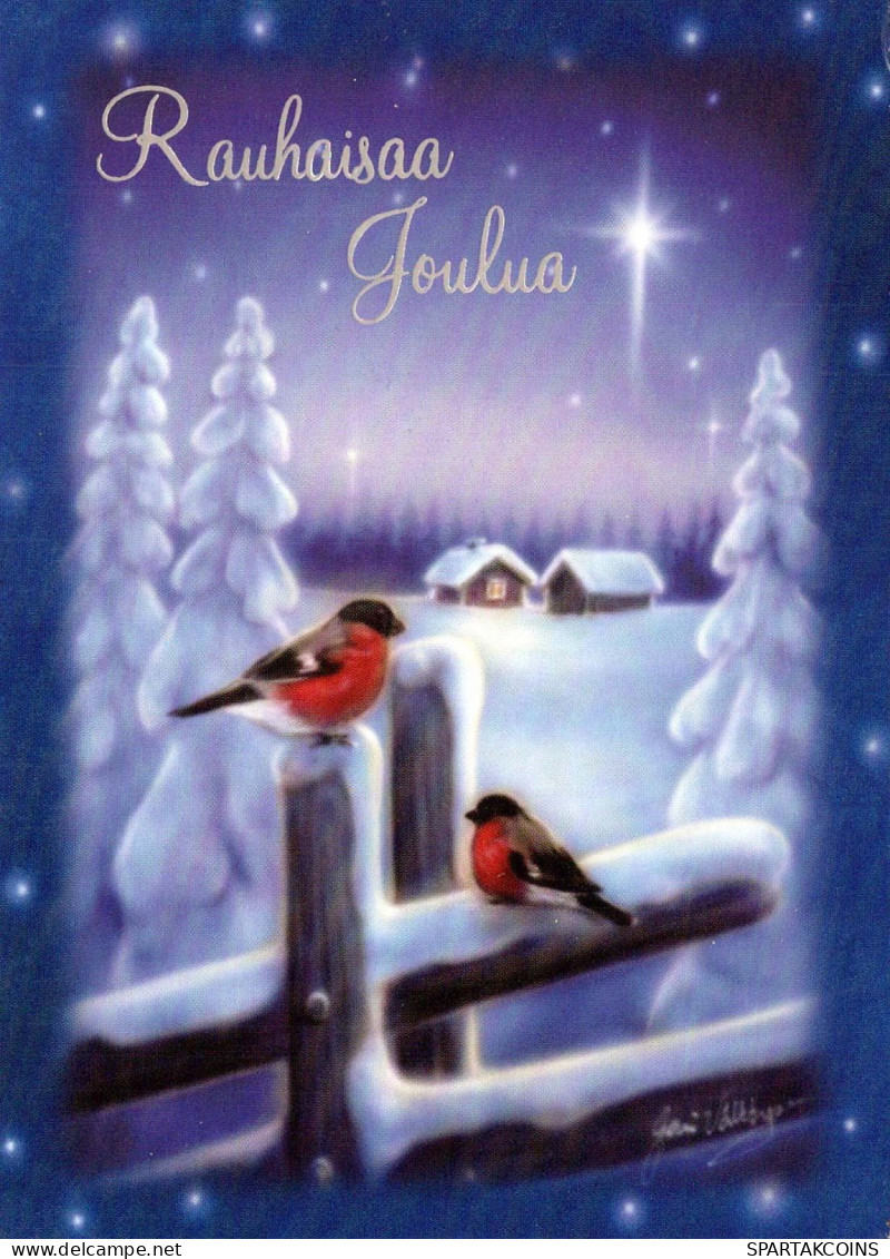 Bonne Année Noël OISEAU Vintage Carte Postale CPSM Unposted #PBA585.FR - Año Nuevo