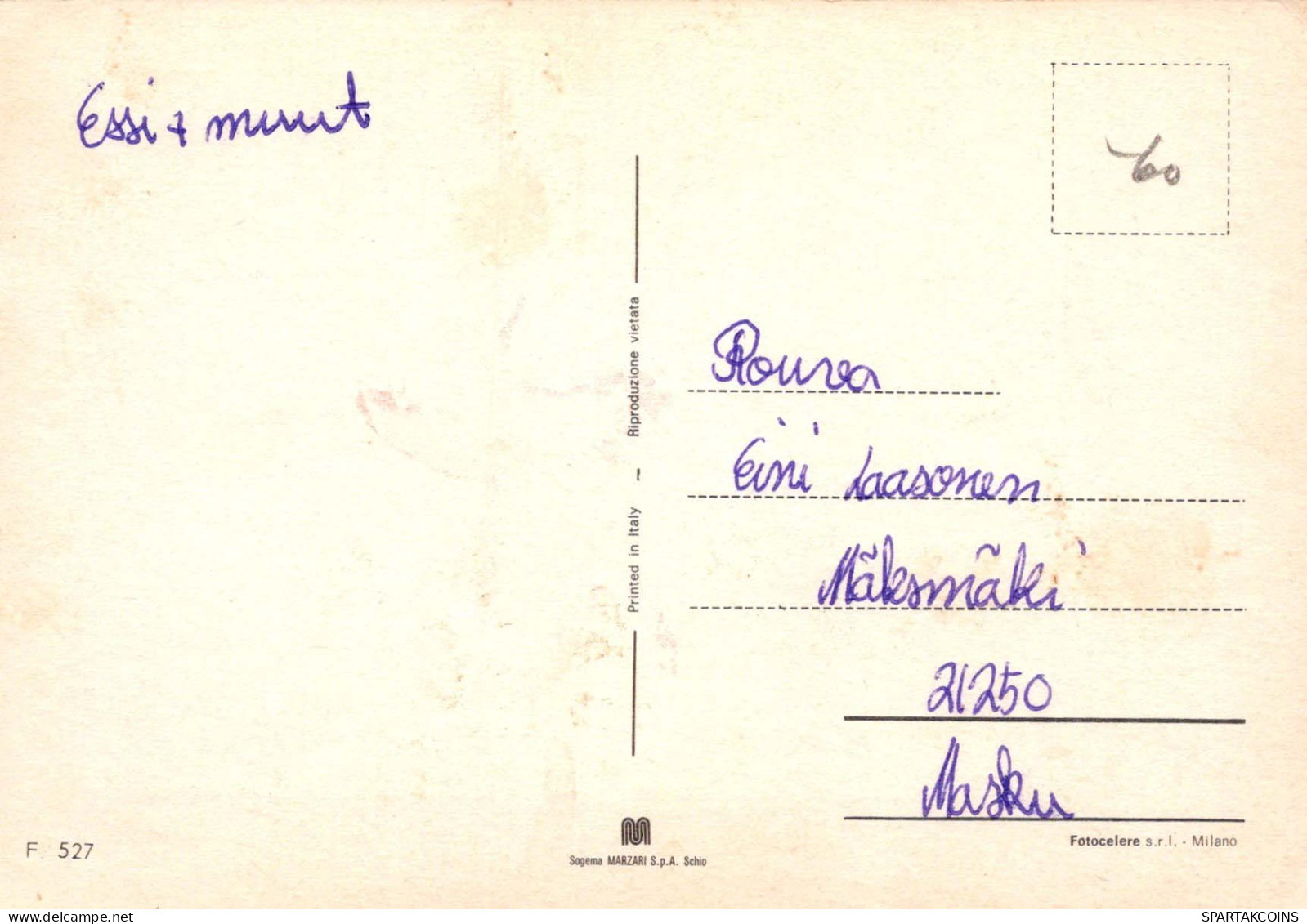 FIORI Vintage Cartolina CPSM #PAS563.IT - Fleurs