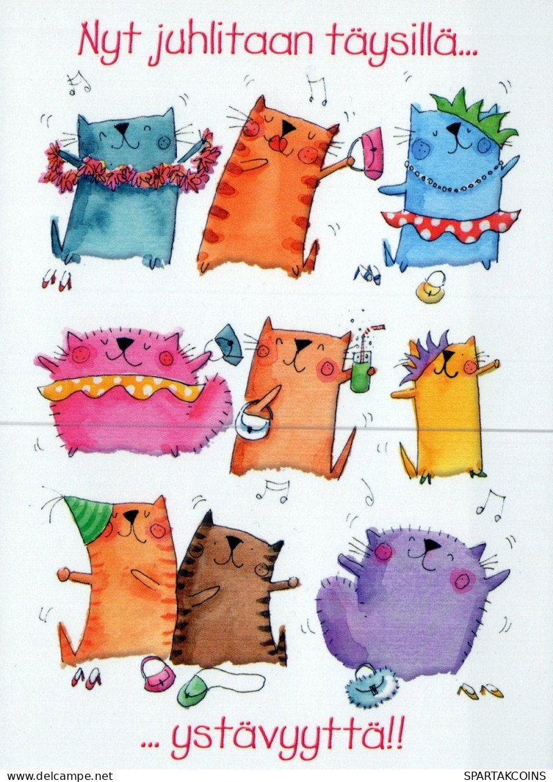 GATTO KITTY Animale Vintage Cartolina CPSM Unposted #PAM283.IT - Chats