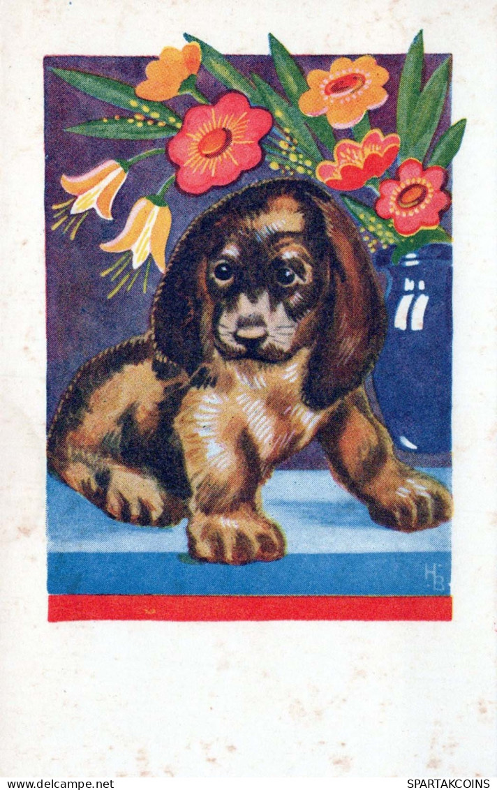 HUND Tier Vintage Ansichtskarte Postkarte CPA #PKE790.DE - Chiens