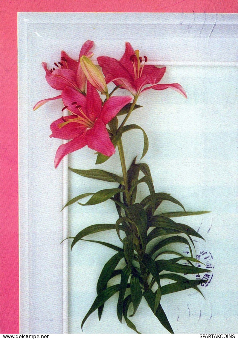 FLOWERS Vintage Ansichtskarte Postkarte CPSM #PBZ069.DE - Fiori