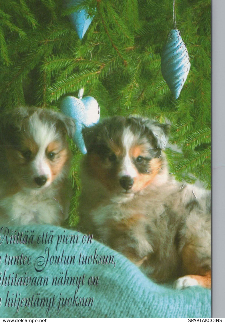 HUND Tier Vintage Ansichtskarte Postkarte CPSM #PBQ494.DE - Hunde