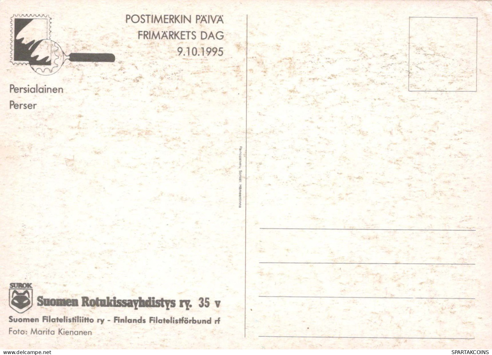 KATZE MIEZEKATZE Tier Vintage Ansichtskarte Postkarte CPSM #PBQ763.DE - Gatti