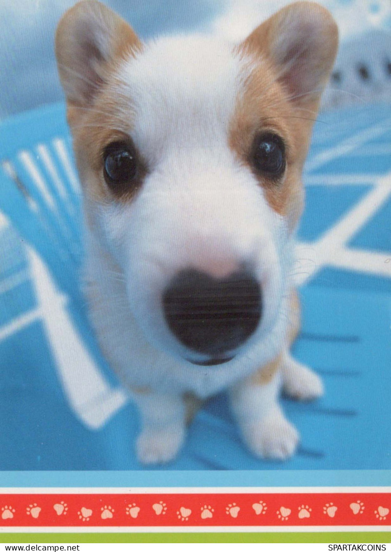 HUND Tier Vintage Ansichtskarte Postkarte CPSM #PBQ361.DE - Hunde