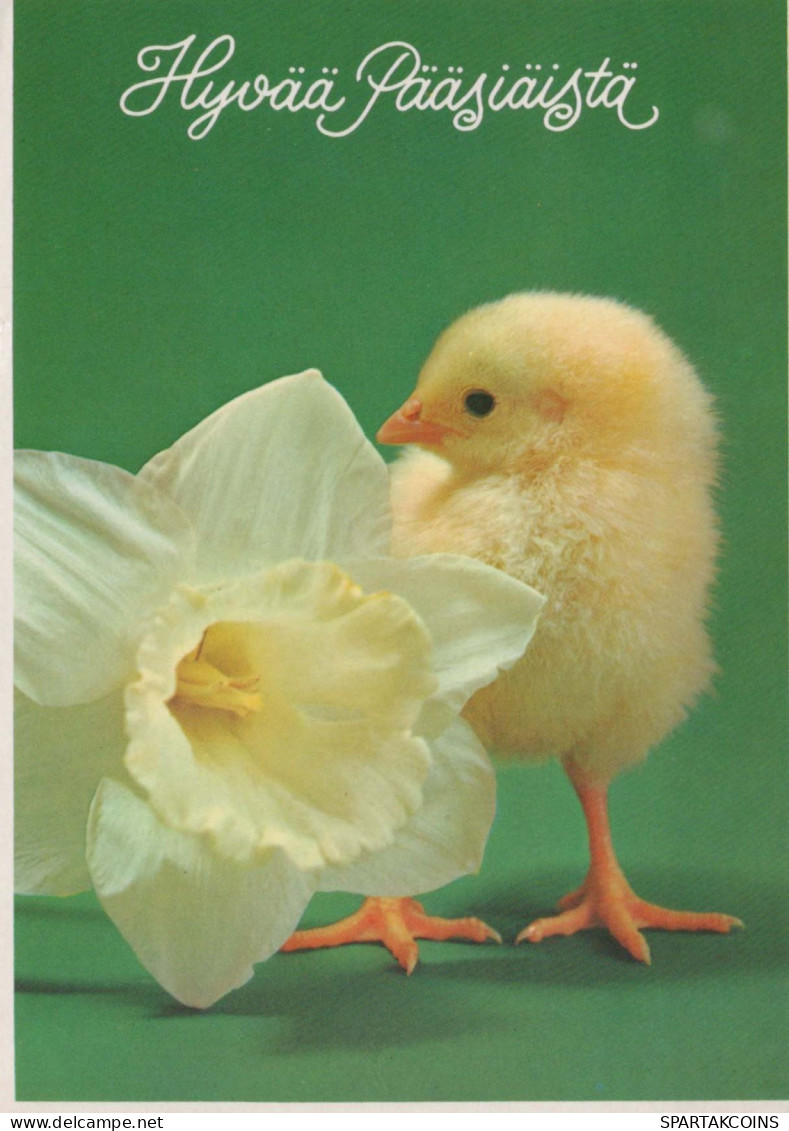 OSTERN HUHN EI Vintage Ansichtskarte Postkarte CPSM #PBP096.DE - Easter