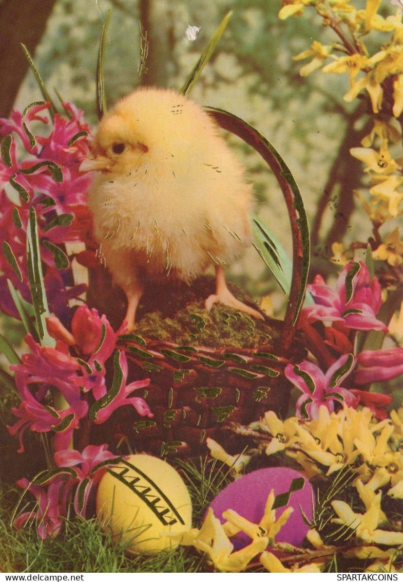 OSTERN HUHN EI Vintage Ansichtskarte Postkarte CPSM #PBP034.DE - Easter