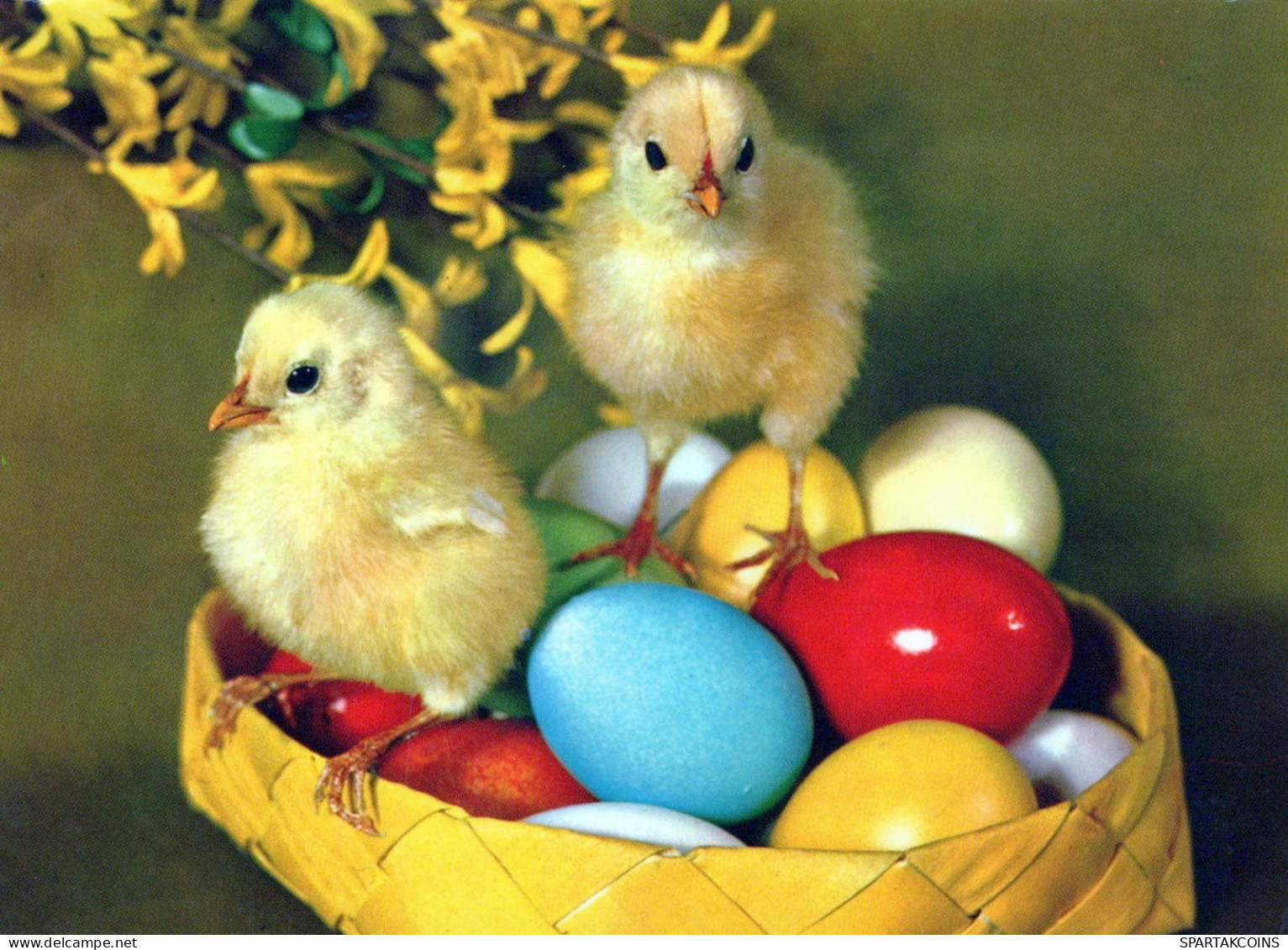 OSTERN HUHN EI Vintage Ansichtskarte Postkarte CPSM #PBO905.DE - Easter