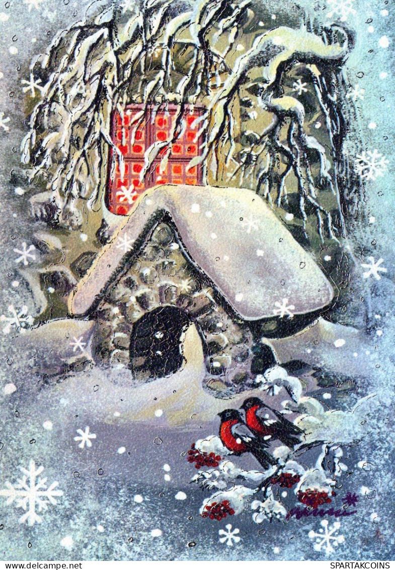 Neujahr Weihnachten VOGEL Vintage Ansichtskarte Postkarte CPSM #PBM773.DE - Nieuwjaar