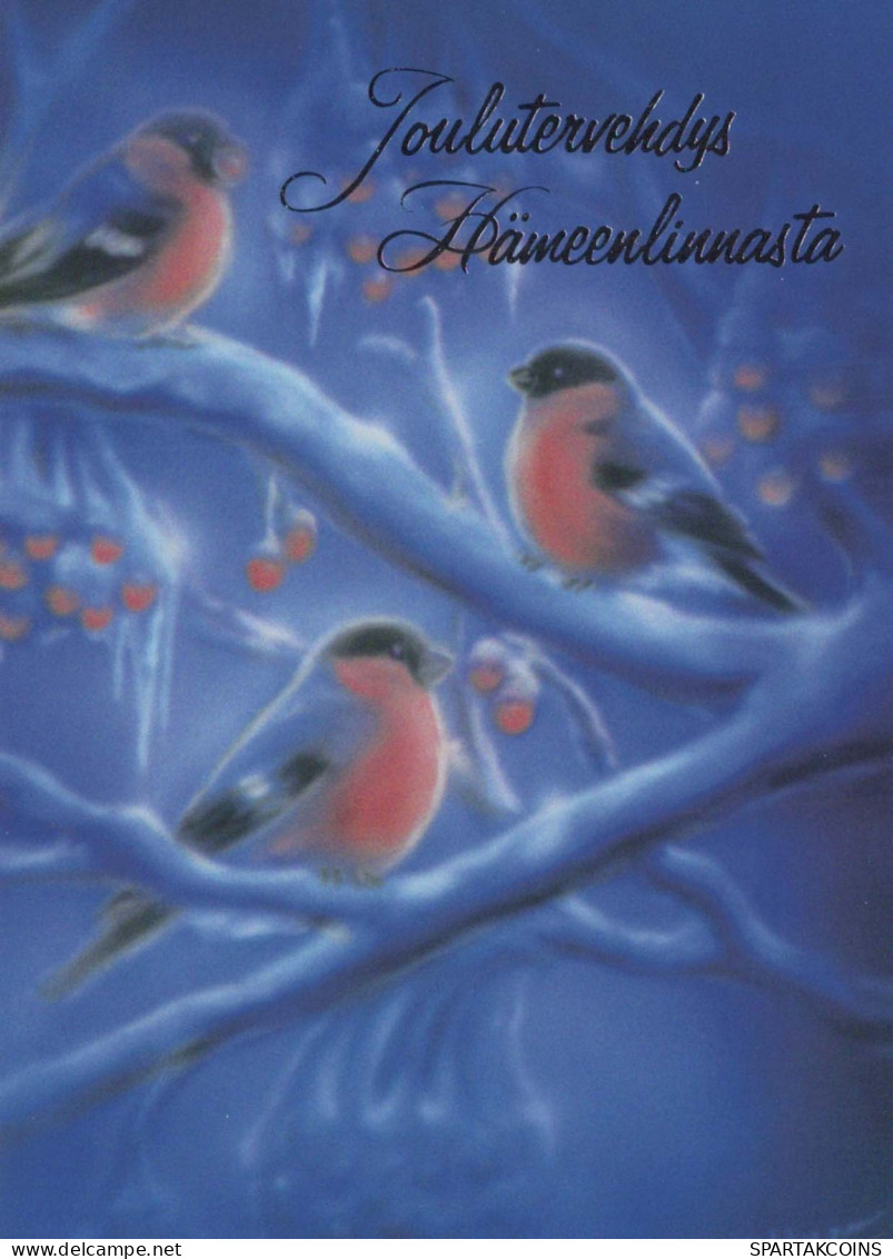 Neujahr Weihnachten VOGEL Vintage Ansichtskarte Postkarte CPSM Unposted #PBA522.DE - Nieuwjaar