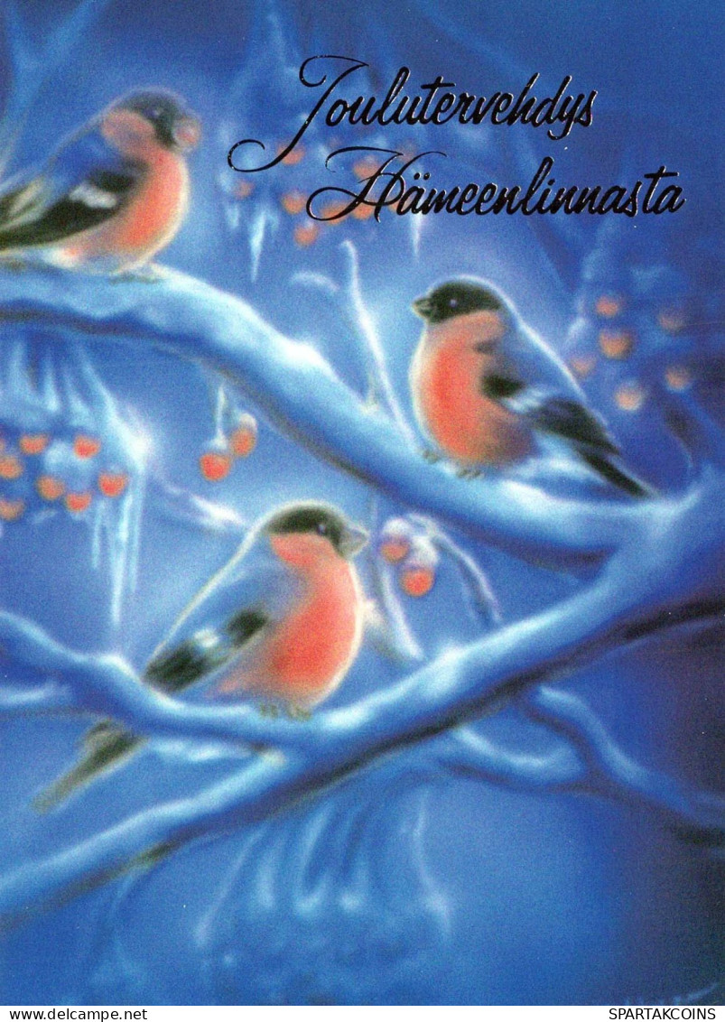 Neujahr Weihnachten VOGEL Vintage Ansichtskarte Postkarte CPSM Unposted #PBA522.DE - Nieuwjaar