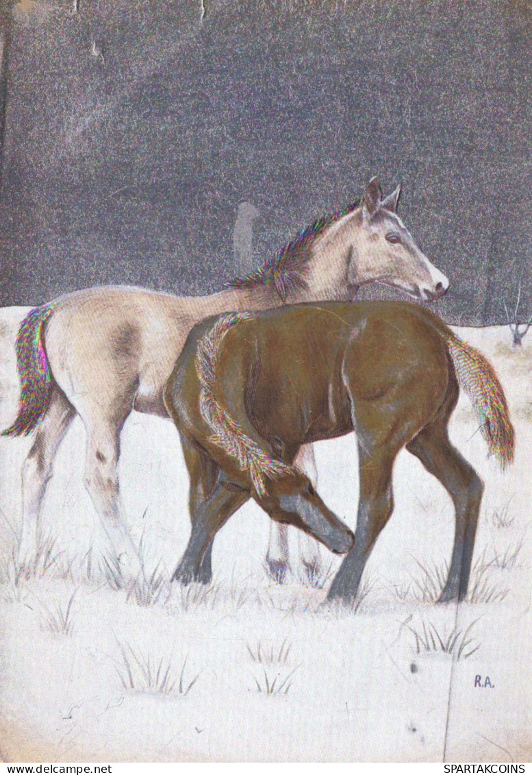 CAVALLO Animale LENTICULAR 3D Vintage Cartolina CPSM #PAZ149.IT - Chevaux