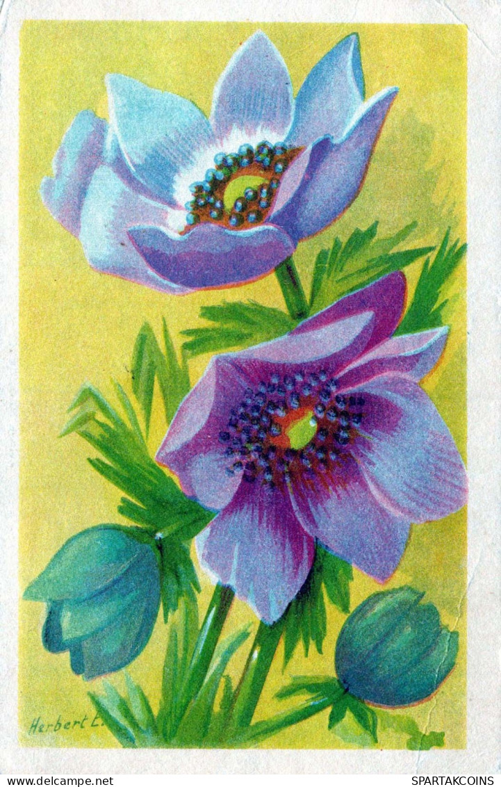 FIORI Vintage Cartolina CPA #PKE664.IT - Flowers