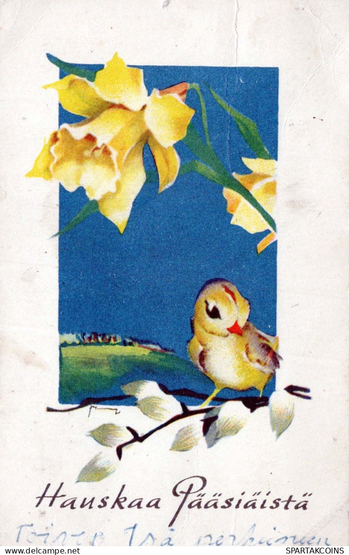 PASQUA UCCELLO Vintage Cartolina CPA #PKE482.IT - Pâques