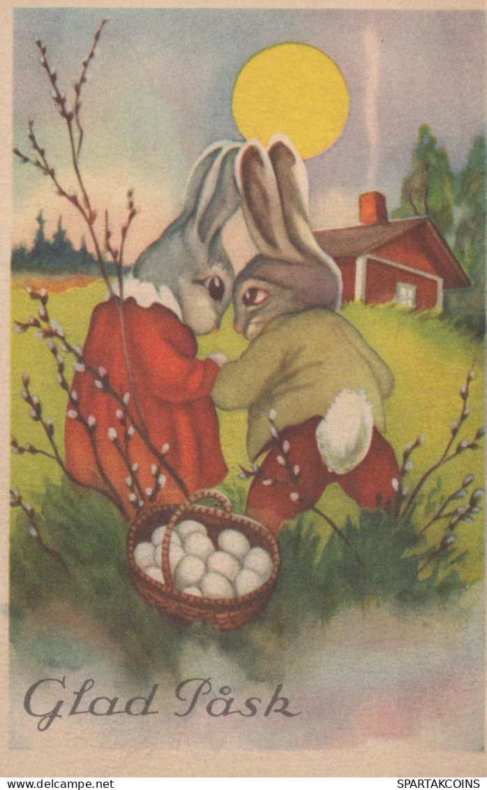 PASQUA CONIGLIO UOVO Vintage Cartolina CPA #PKE288.IT - Easter