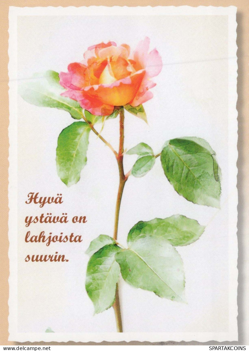 FIORI Vintage Cartolina CPSM #PBZ248.IT - Fleurs