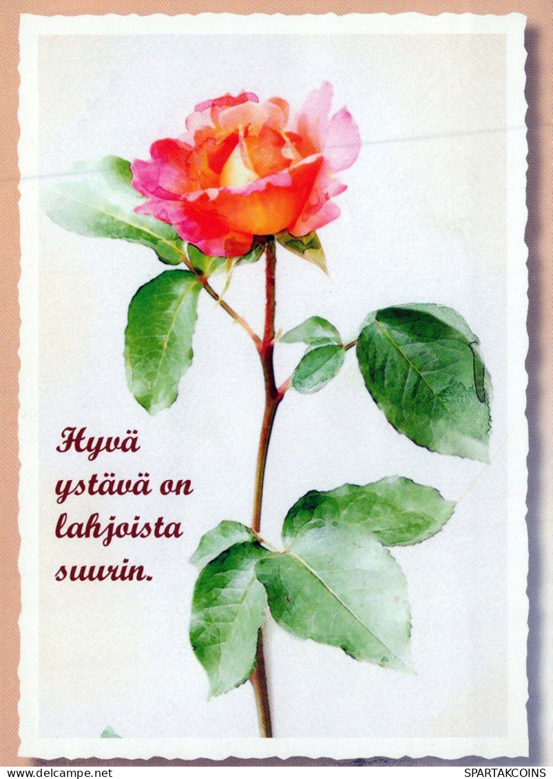 FIORI Vintage Cartolina CPSM #PBZ248.IT - Flores